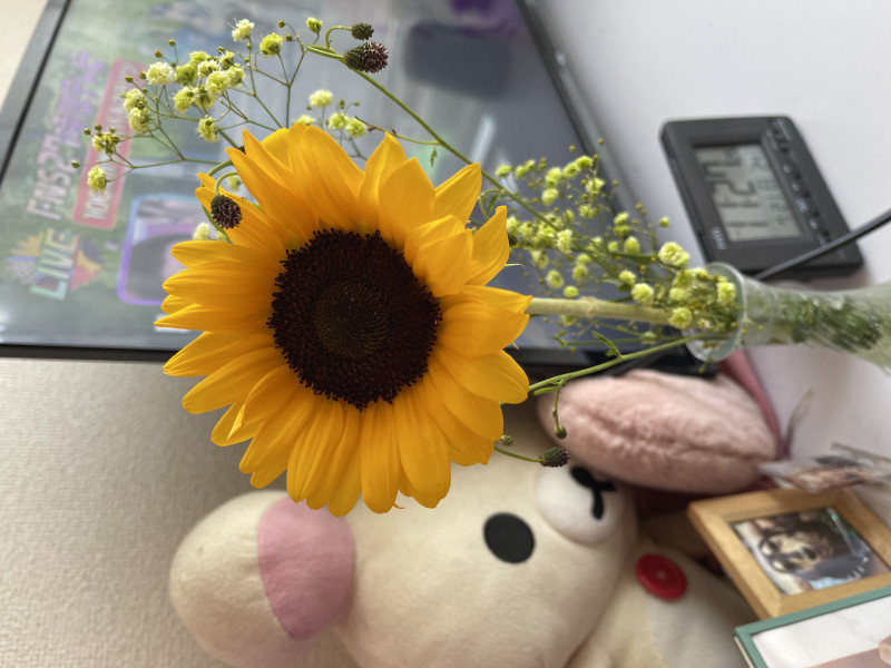 りんかの写メ