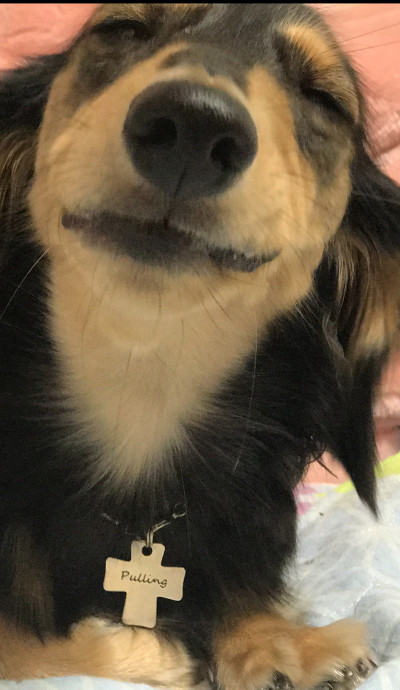 りんかの写メ