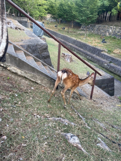 ゆうひの写メ