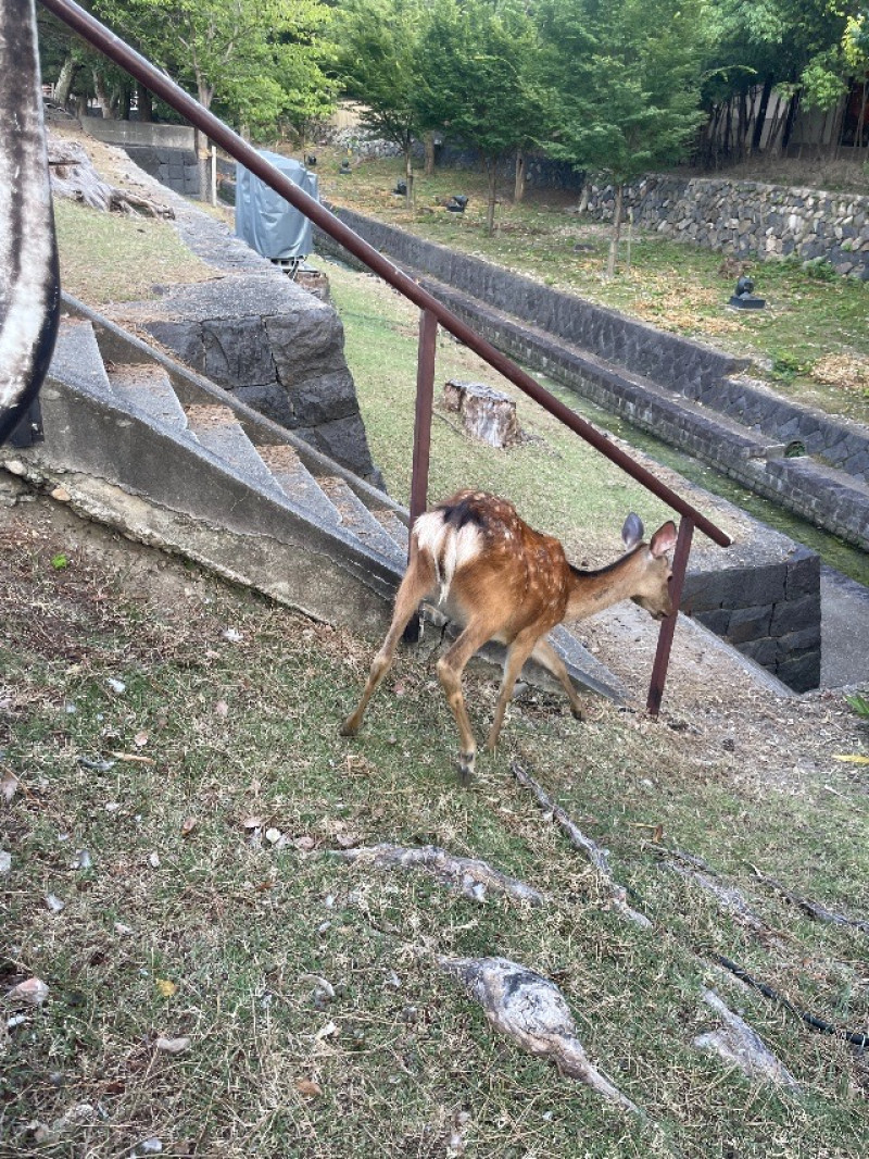 ゆうひの写メ